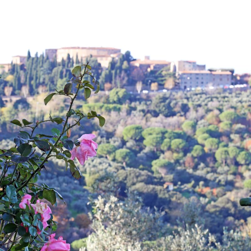 il borgo di castagneto carducci