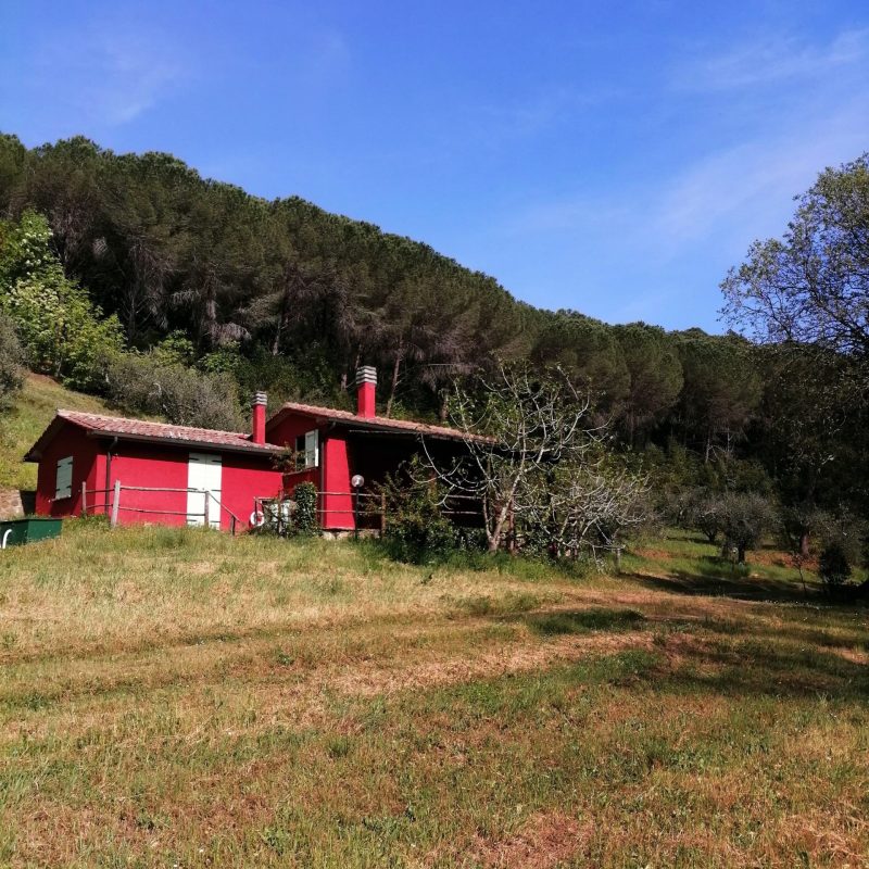 Villetta Poggio Verde, Agriturismo Bellavista Castagneto, Toscana